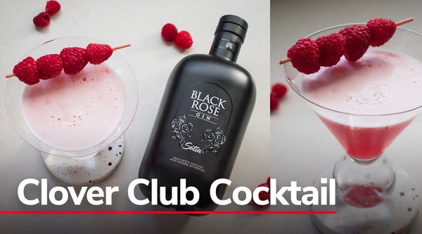 Clover Club Cocktail with Raspberry