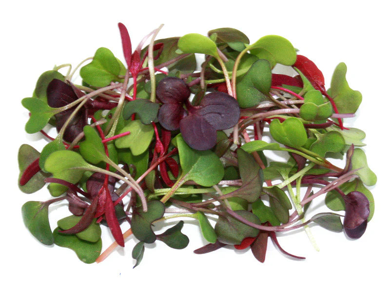 Micro Greens Punnet - 30g