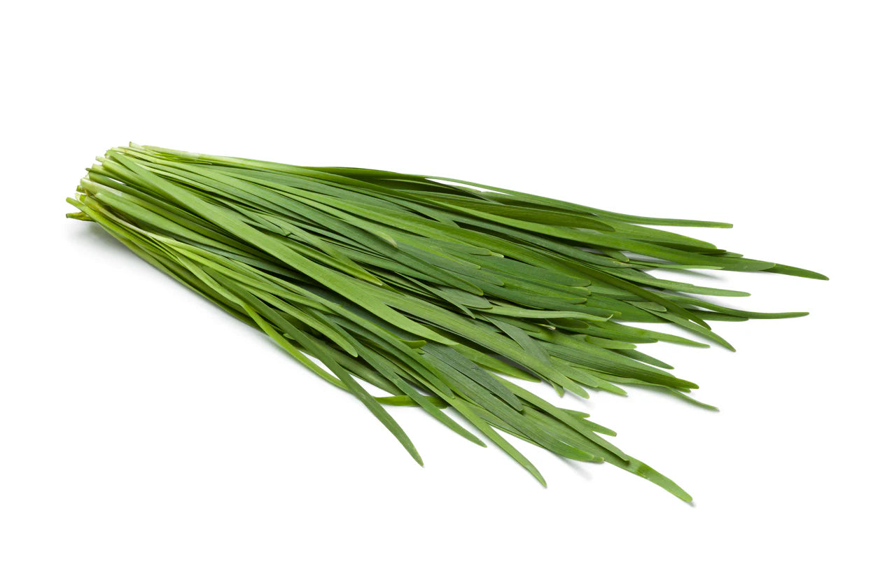 Chives - 30g