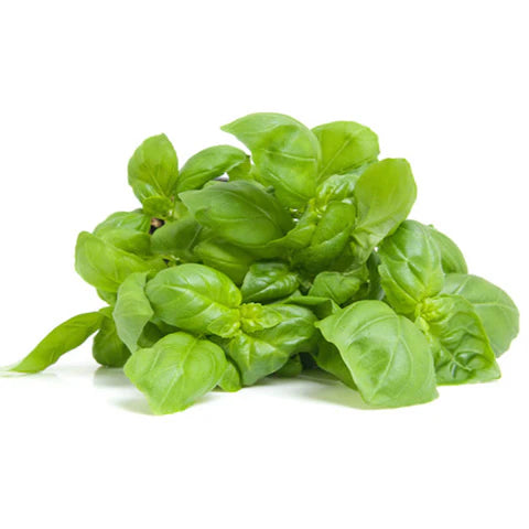 Basil Leaves - 30g