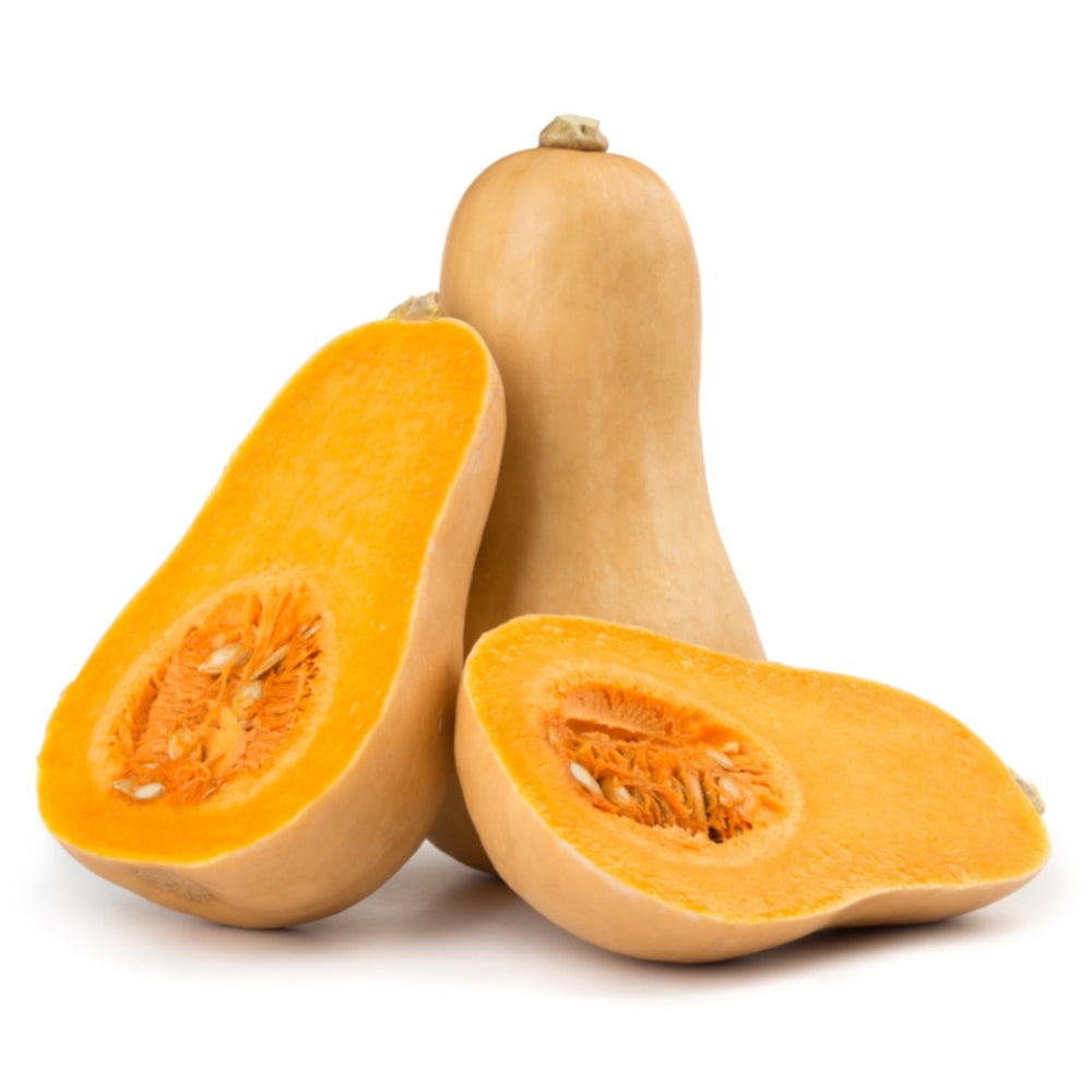 buy butternut single online