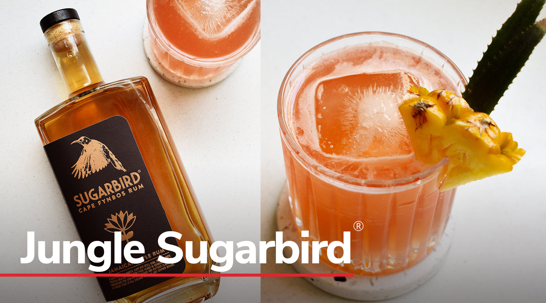 Jungle Sugarbird – Ultimate Summer Cocktail!