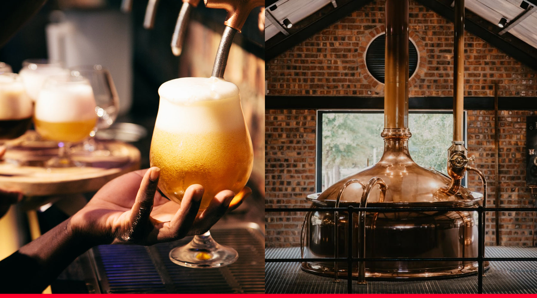 Cape Town's Best Local Beer Breweries