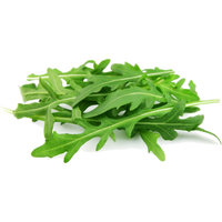 Buy Rocket Salad - 30g Online