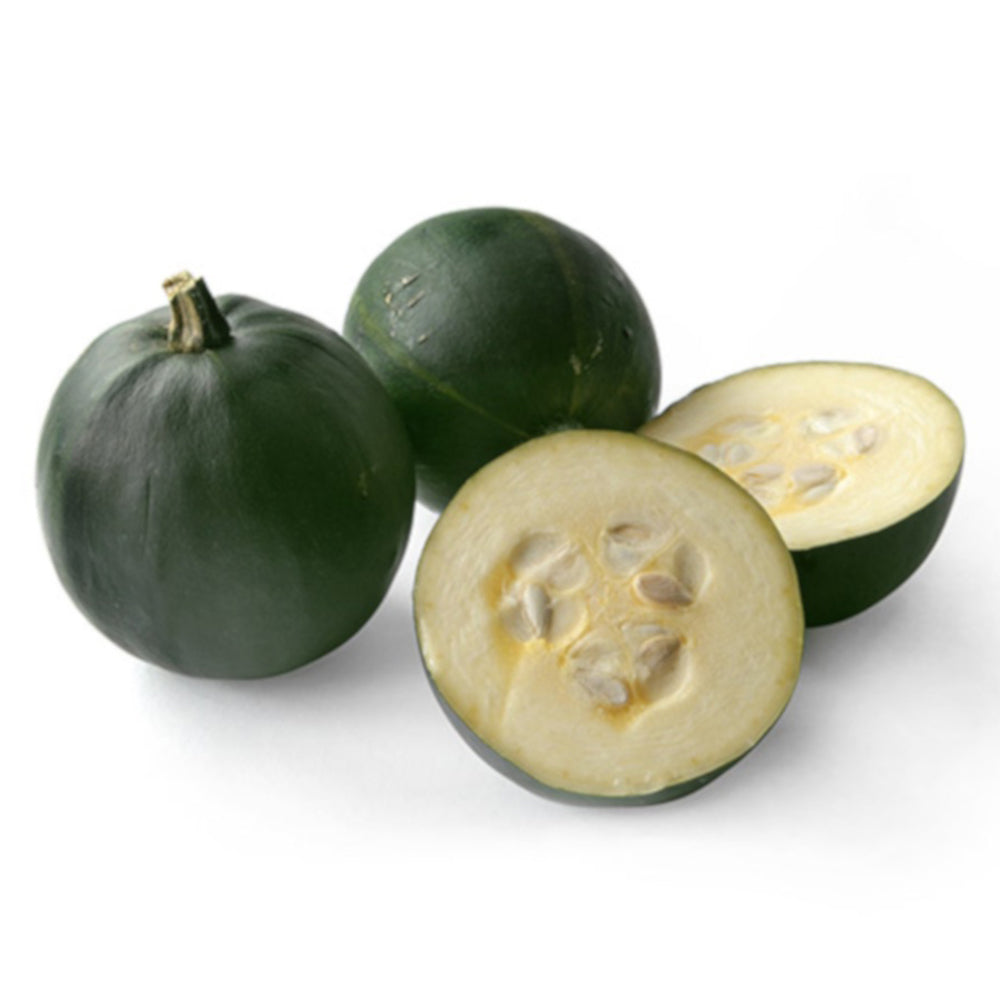 Buy Gem Squash - Sock Online