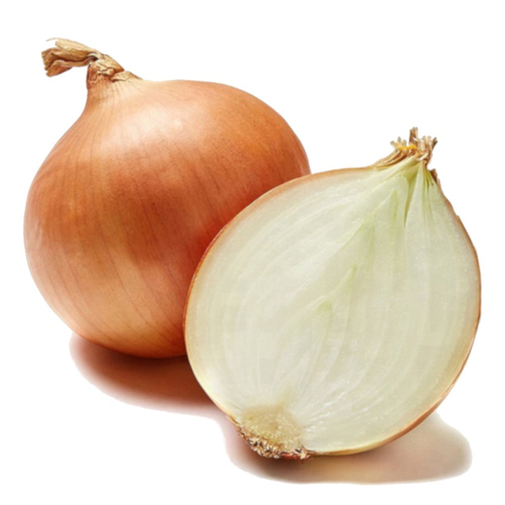 Onions Large - Sock