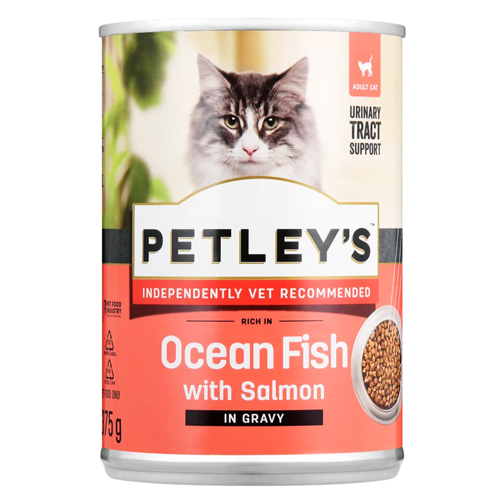 Buy Petley's Cat Food - Pate with Salmon 375g Online